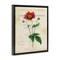 Stupell Industries Garden Greenhouse Vintage Flower Floating Frame By Susan Arnot